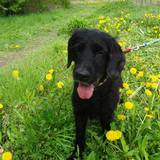 166062_521227194611068_1142504289_n