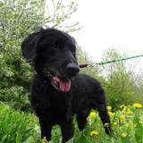 374985_521226967944424_654163139_n