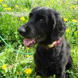 480202_521227117944409_592549224_n