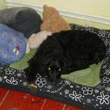 528237_583995111667609_1167694941_n