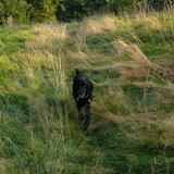 547309_583994938334293_738804487_n