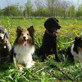 945237_521227874611000_1680211312_n