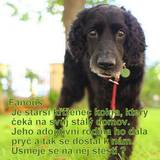 945998_563763507024103_1630928390_n