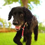 954780_557481444318976_410360976_n