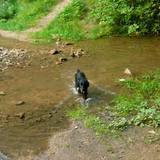 954823_583994911667629_990278670_n