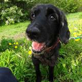 970617_521227141277740_2078281675_n