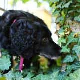 971411_557481734318947_1507809667_n