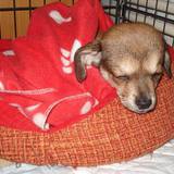 12301718_1004519609615155_4735693318438481182_n