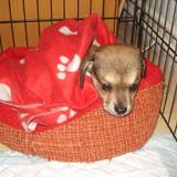 12308651_1004519642948485_1889851472622058787_n