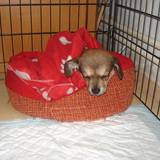 12308704_1004519646281818_2656005883677722564_n