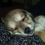 12311122_1004519559615160_5559184233489015186_n