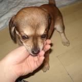 11045430_1004801846253598_7004379140392092403_n