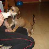 12274505_1004801819586934_221545102001050516_n