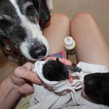 13516700_1143960342337747_3391548320046955582_n