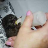 13692664_1415541771806257_4238471125791121633_n