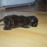 13726668_1415541805139587_5673523489833823319_n