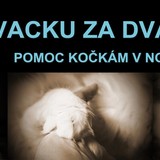 14107915_1072301306150367_8436089986860962771_o