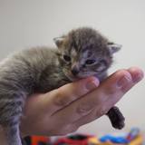 17620325_1407300396003739_6894764079879531435_o