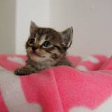 17855540_1422593354474443_2756305279210658971_o