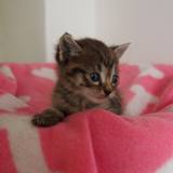 17917841_1422593351141110_6521588446871887329_o