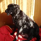 18301128_1452410784826033_8055027975521183716_n