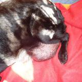 18403738_1452410848159360_6934053940020735044_n