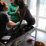 18301306_1065392653563787_5708646149411801026_n