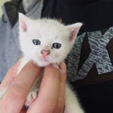 18699485_1471683619565416_5945007620253163375_o