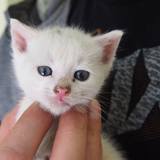 18699605_1471683612898750_7969695717530060082_o