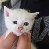 18738513_1471683622898749_1817067194681677499_o