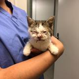 56675202_10214525773080961_4195891119264890880_n