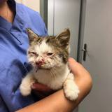 56716106_10214525772520947_3858763111678869504_n