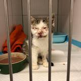 56852721_10214525772920957_9063506546574491648_n