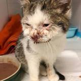 57079685_10214525771640925_1647577625436094464_n