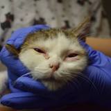 57052935_10214525769040860_8817543119676375040_n