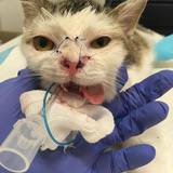 56938298_10214525768480846_1698617831370784768_n