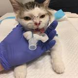 56965409_10214525767920832_6083819675840413696_n