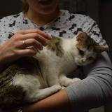 56739327_10214525769240865_2132379227272511488_n