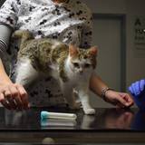 57049727_10214525770080886_499412191519178752_n