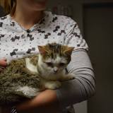 56879445_10214525769400869_4040354775630348288_n