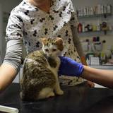 57504139_10214525770200889_8423909461487255552_n