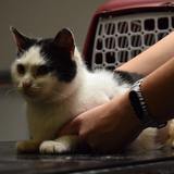 56669468_10214525983526222_2134627698486542336_n