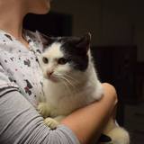 56866504_10214525983166213_130537245970006016_n