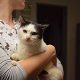 57133746_10214525986646300_2664187420802547712_n