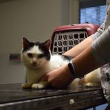 57321573_10214525984806254_1083924006047842304_n