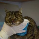 56830027_10214526052767953_5412142642500730880_n