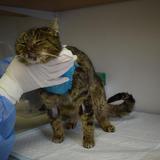 56972091_10214526053847980_5131055226458996736_n