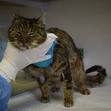 57092742_10214526053967983_5080815340435275776_n