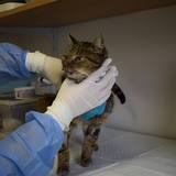 57297730_10214526053047960_1976578936422793216_n