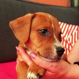 58586719_2344777392256030_236138762222960640_n